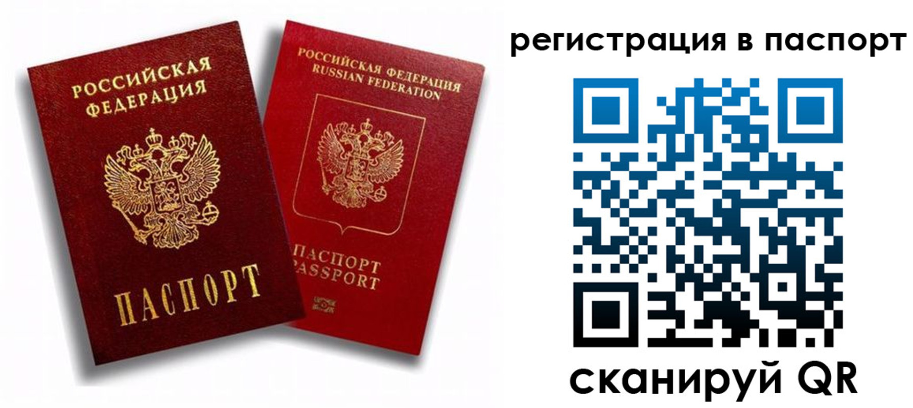 прописка 2025 в Вяземском